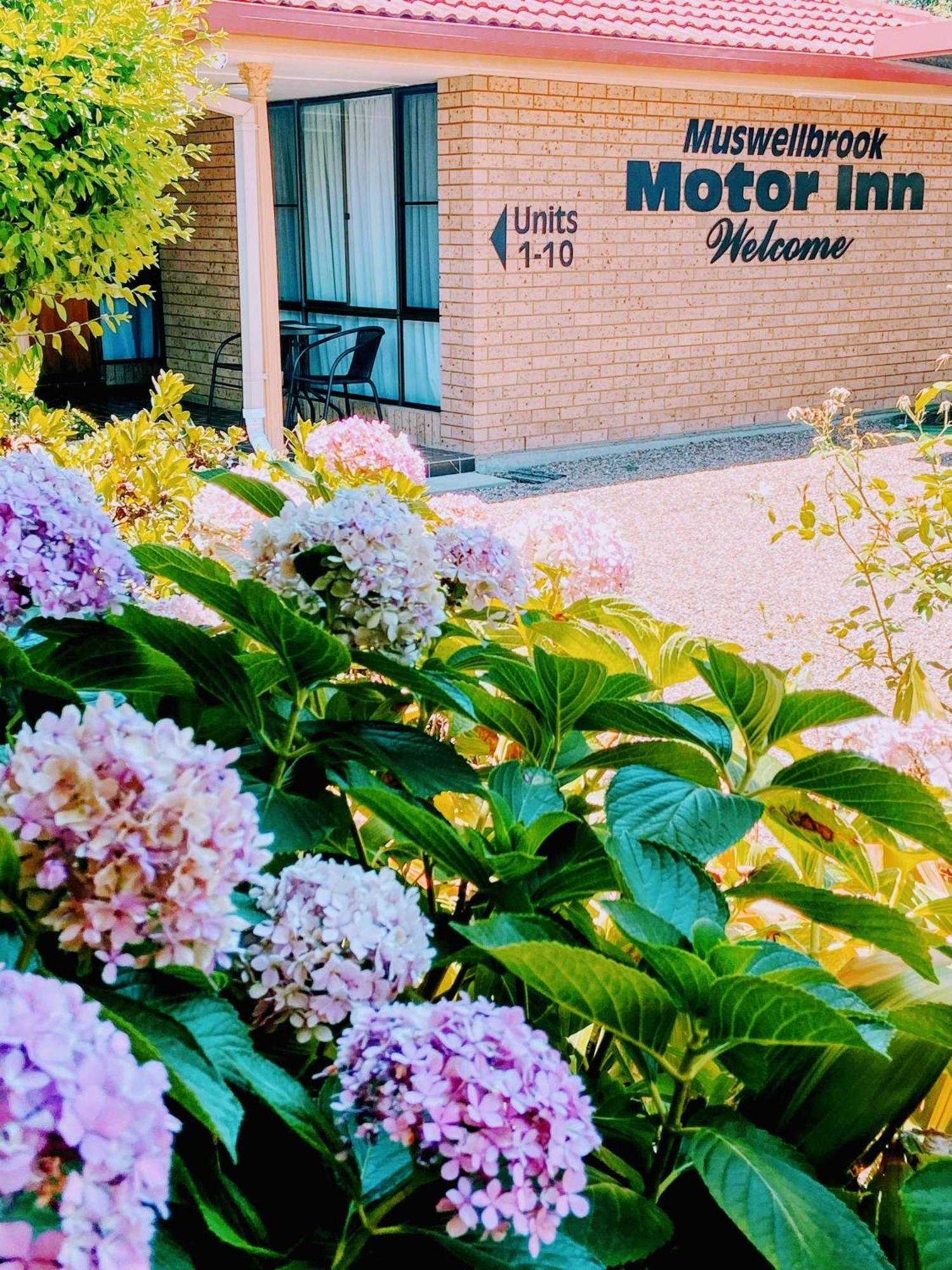 Motor 3*